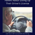 Driver’s License Workbook