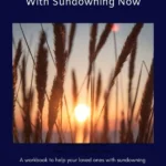 Sundowning Workbook