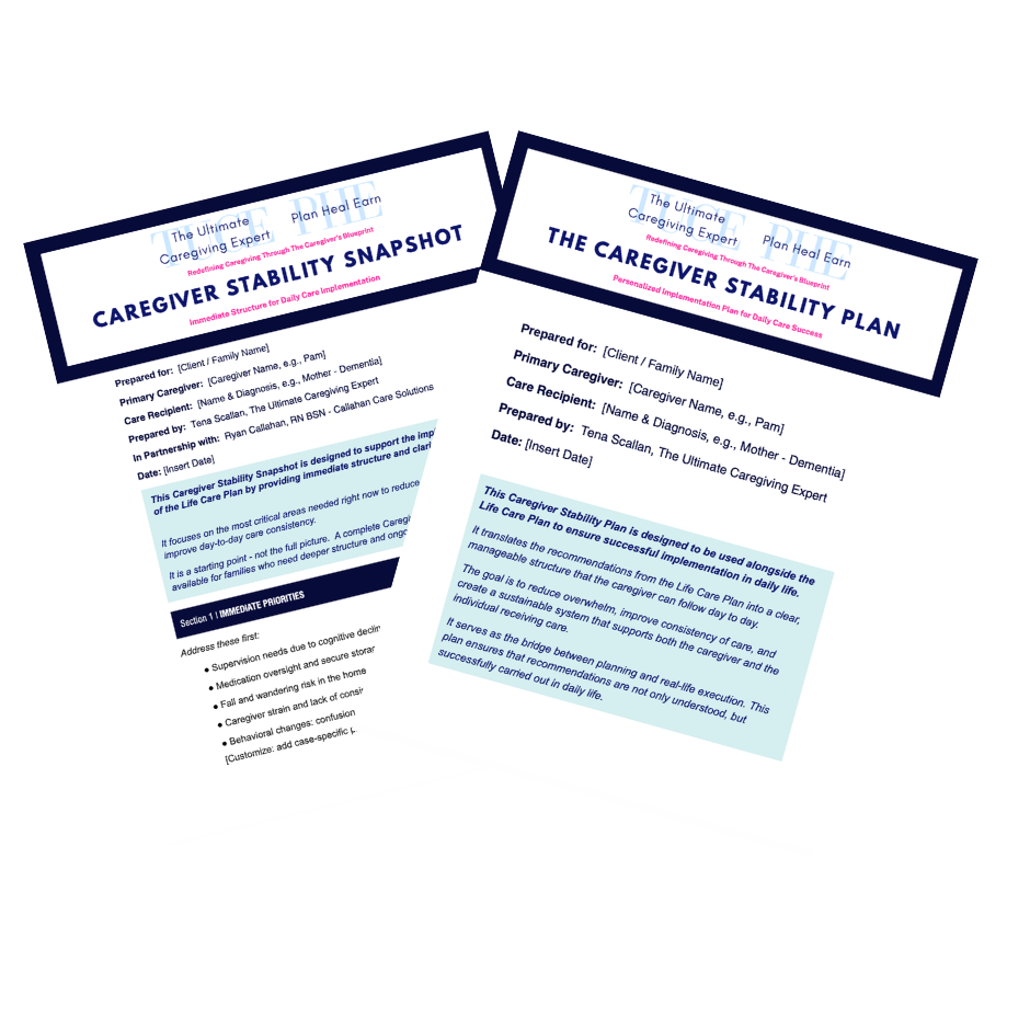 Caregiver Stability Snapshot and Caregiver Stability Plan